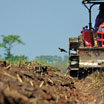 Profesión peón ganadero, agropecuario o agricultor