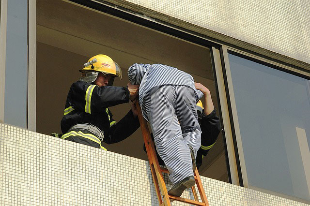 Profesión de bomberos (excepto forestales).